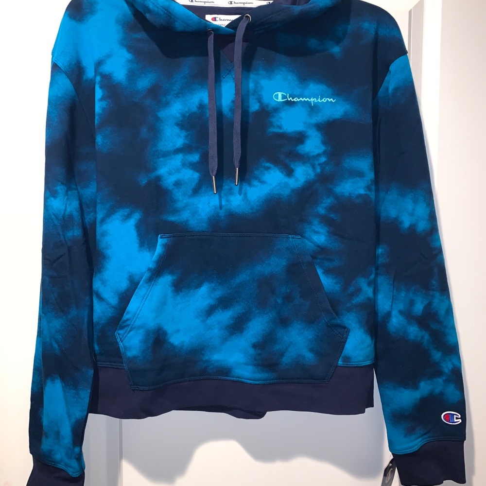 NWT Champion Campus Hoodie in Cloud Burst